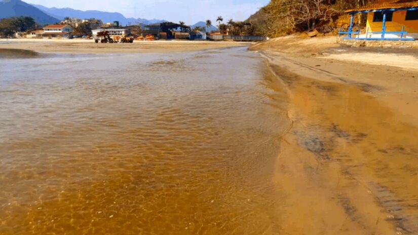 Praia de Tabatinga
Na divisa com Ubatuba, a Praia de Tabatinga é conhecida por suas águas calmas e cristalinas, praticamente sem ondas. O mar tranquilo forma uma verdadeira piscina natural, ideal para famílias com crianças, já que os pais podem observá-las com segurança/ Reginaldo Pupo

