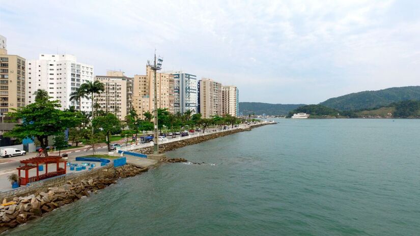 Estuários e áreas ricas em nutrientes atraem esses animais em busca de alimento / Renan Lousada/DL