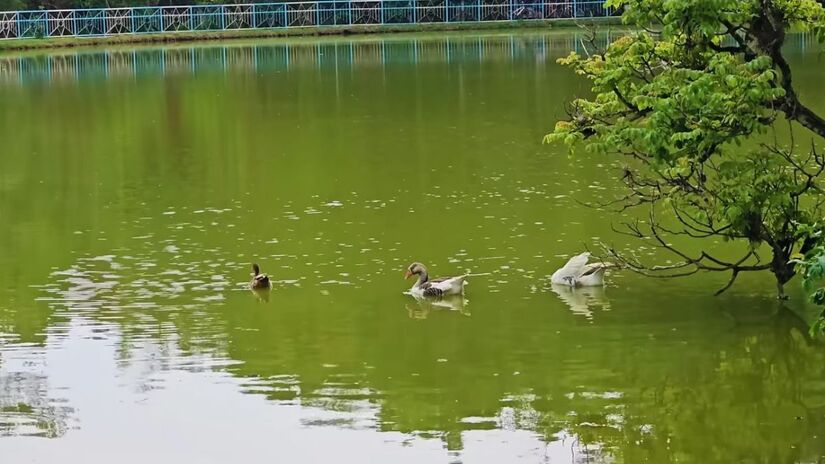 O Parque das Águas é o principal ponto turístico, ideal para relaxamento e contato com a natureza