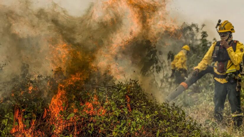 Brigadistas enfrentam chamas intensas e rajadas de fumaça durante o combate aos incêndios no Pantanal, em Corumbá (MS)/ Marcelo Camargo/Agência Brasil