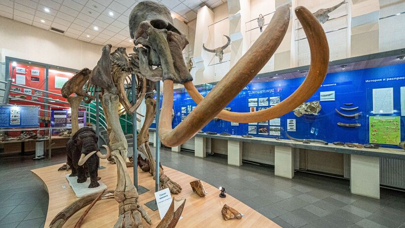 Exposição de fósseis e esqueletos preservados no gelo no Museu do Mamute, dedicado à história desses animais na região ártica/ Eugene Kaspersky/Flickr