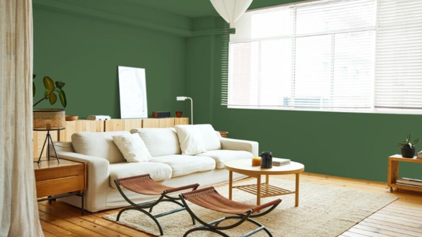 O verde-floresta reforça a tendência dos tons naturais e profundos, criando ambientes serenos e envolventes/ Reprodução Suvinil