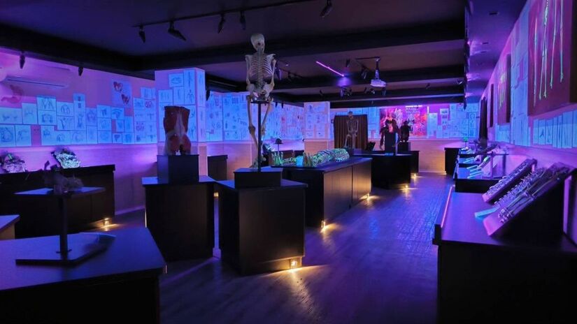 A Faculdade de Medicina de Jundiaí abriga um dos museus mais importantes da cidade, com acervo anatômico e científico que atrai estudantes, pesquisadores e visitantes interessados em aprendizado interativo/ FMJ/Museu do Corpo Humano