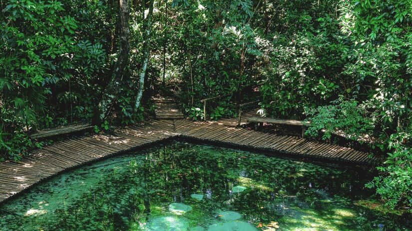 Areia Que Canta (Brotas): Nascente de água transparente onde a areia de quartzo branco produz som ao ser friccionada, criando um dos fenômenos naturais mais curiosos da região/ Reprodução Facebook/Areia que Canta