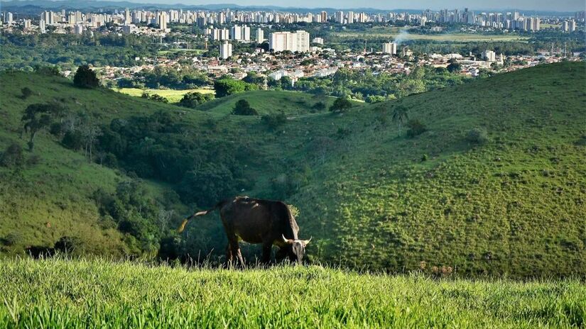 Bairros tranquilos e bem planejados ajudam a construir o ambiente de bem-estar que define a cidade/Wiki