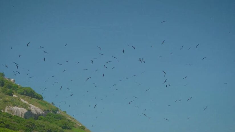 Suas águas transparentes oferecem visibilidade de até 30 metros, ideal para a prática de mergulho