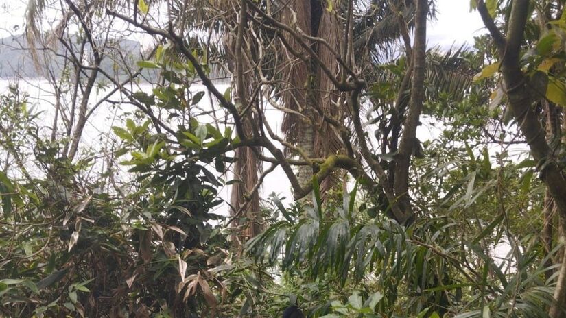 A ação foi motivada por uma denúncia de avistamento de uma barraca montada na encosta da Ilha Urubuqueçaba/ Divulgação