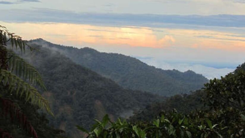 2ª - Floresta Amazônica  Maior floresta tropical do mundo. Com 7 milhões de km², se estende por partes do Amazonas, Amapá, Pará, Acre, Roraima, Rondônia, Mato Grosso e Maranhão. Também ocupa trechos da Venezuela, Colômbia, Bolívia, Equador, Suriname, Guiana e Guiana Francesa/ Beyond the Ultimate wikimedia commons