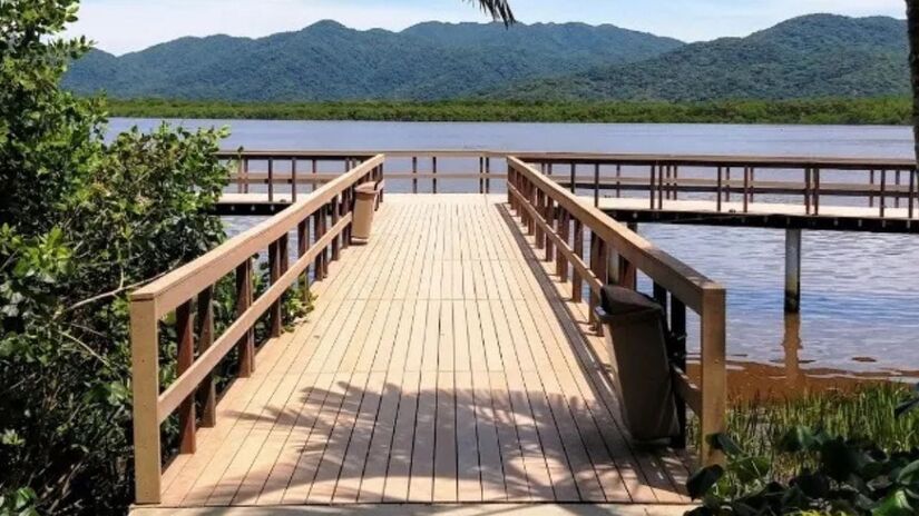 Além das praias, a Ilha Comprida SP oferece uma rica diversidade de ecossistemas, incluindo áreas de manguezais, restingas e Mata Atlântica preservada/ J.D.Rebello