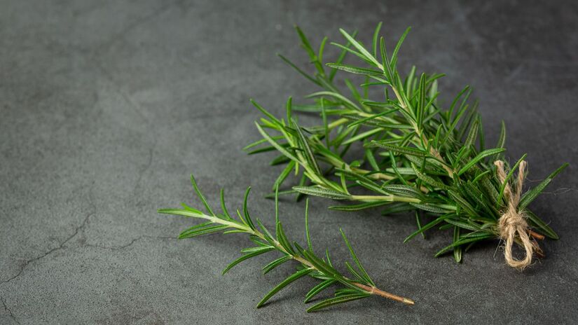 Alecrim: erva ligada ao amor, ao ânimo e às boas energias do romance/ jcomp/Freepik