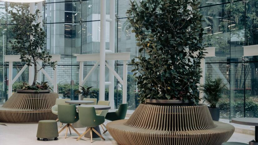 O uso de plantas em grande escala, mobiliário inspirado na natureza e abundância de luz natural evidencia como o design biofílico transforma interiores em espaços de bem-estar/ Bernd Dittrich/Unsplash