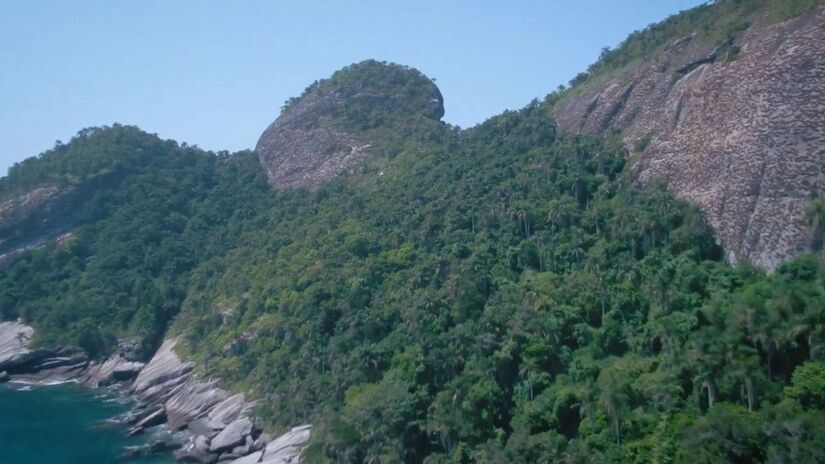 O local é um santuário marinho que abriga mais de 1.300 espécies, incluindo tartarugas, arraias e golfinhos