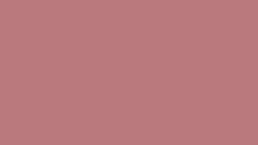 DUSTY ROSE | 17-1718 /Pantone