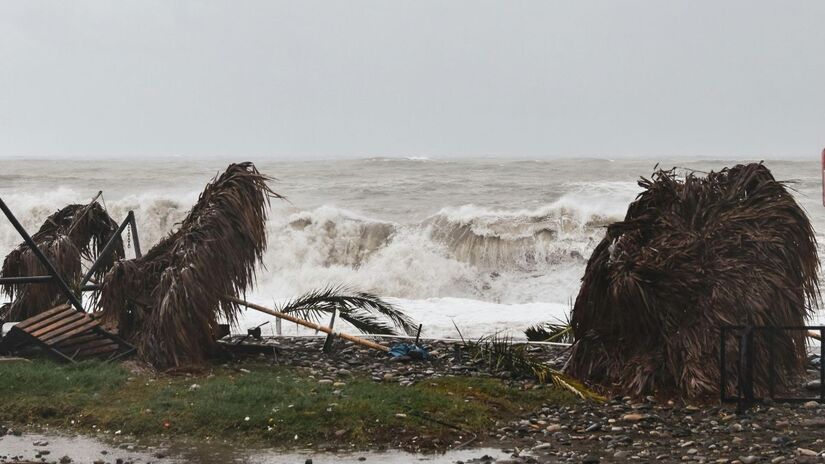 Afaste-se de árvores e postes: Ramos e cabos podem cair com a força dos ventos  mantenha distância/ Pexels
