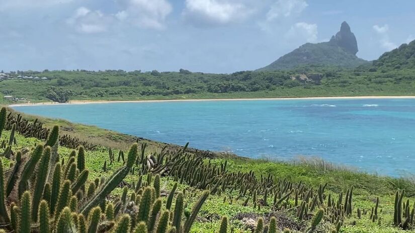 O sistema contará com baterias de 49 MWh, garantindo energia contínua mesmo à noite ou em dias nublados