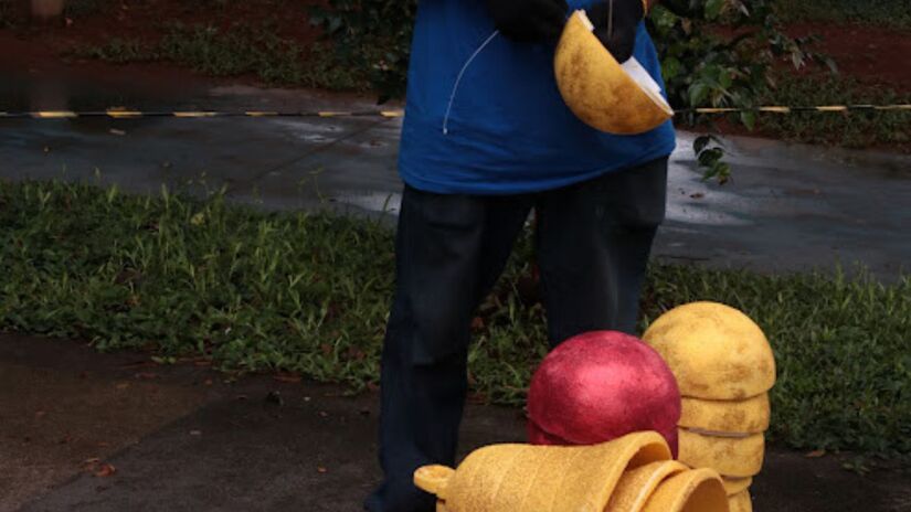 
Na Área Continental, bairros como Ilha Diana, Monte Cabrão e Caruara receberão ornamentação em postes e árvore estilizada na Praça das Palmeiras, além de iluminação nas árvores naturais.
Divulgação/Francisco Arrais 