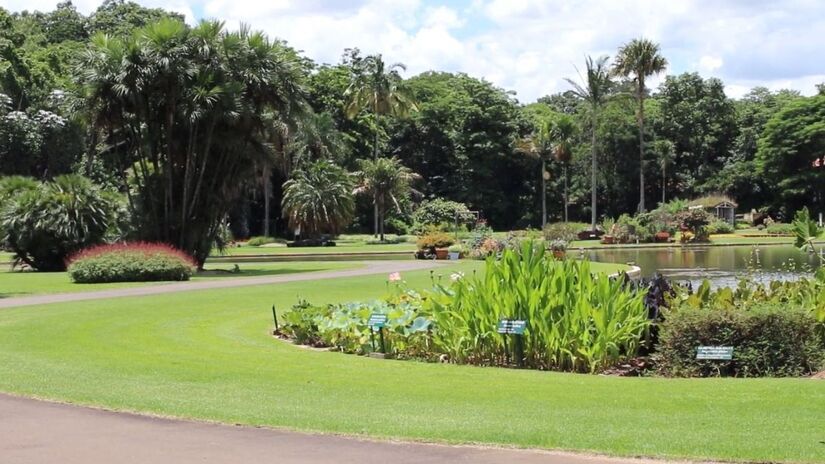 A visita oferece experiência educativa, ambiental e de contemplação