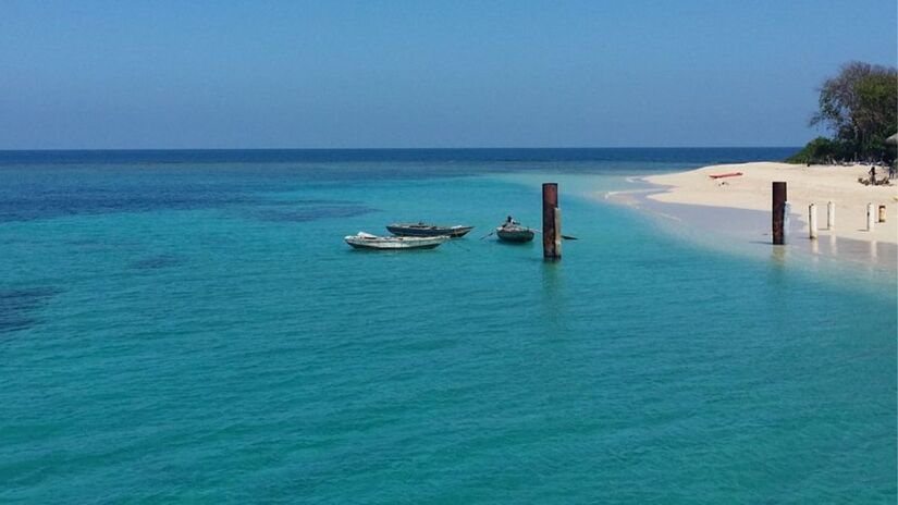 Receita governamental: As taxas e impostos arrecadados ajudam a aumentar a arrecadação pública, que pode ser destinada a outros setores/ Pexels