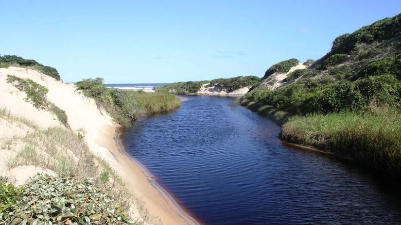 Praias: 

Ponta da Trincheira: extremo sul; vista para as ilhas do Cardoso e Bom Abrigo.

Boqueirão Sul: acesso via balsa de Cananéia; ondas fortes; dunas; mangue; piscinas naturais; infraestrutura simples.

Juruvaúva: muitas dunas (até 6 m) e navio naufragado.

Pedrinhas: vila de pescadores; boas ondas; água clara; famosa entre surfistas /Guia Lugares Turístico 
