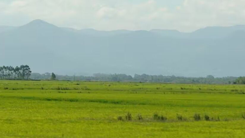 Pampa

Localizado no sul do Brasil, o Pampa tem vastas áreas de campos naturais que sustentam atividades tradicionais, como a pecuária. A expansão de monoculturas e a substituição de vegetação nativa ameaçam sua paisagem e biodiversidade. Proteger o Pampa significa preservar culturas regionais e um ecossistema único. Alex Pereira / Wikipedia