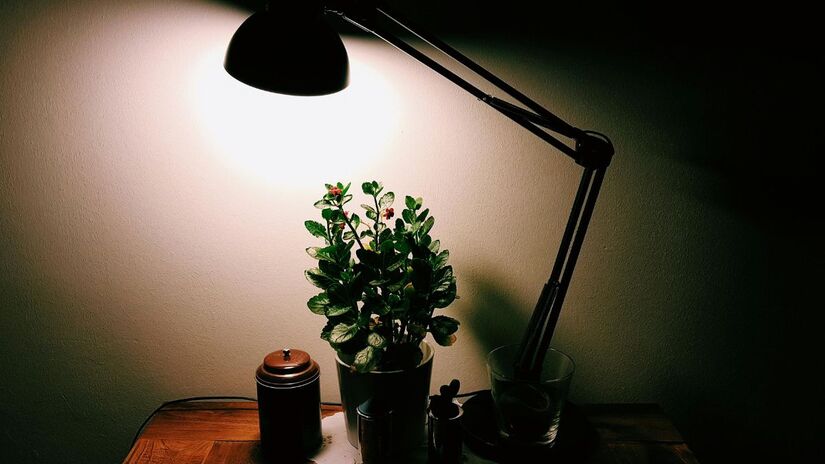 Manter o quarto escuro e silencioso equilibra o ciclo natural, favorecendo um sono na medida certa/ Pexels