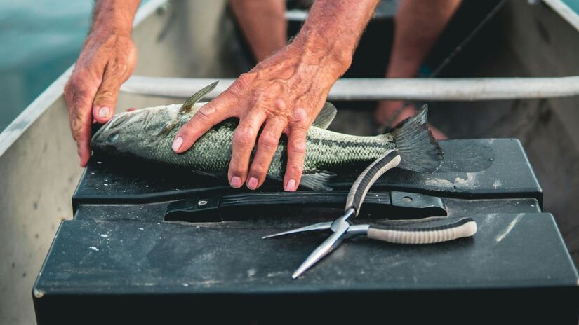 No litoral brasileiro, a tradição de servir peixe fresco na ceia está ligada à ideia de começar o ano com leveza e boa energia/ Pexels