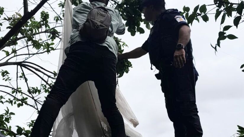 A Ilha Urubuqueçaba é uma área de preservação com vegetação de restinga e fragmentos de Mata Atlântica, considerada sensível e de alta relevância ecológica/ Divulgação