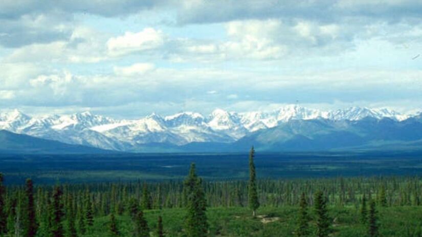 1ª - Floresta Taiga  Hemisfério Norte - Com uma área de 12 milhões de km², é responsável por 29% da cobertura vegetal do planeta/ Divulgação