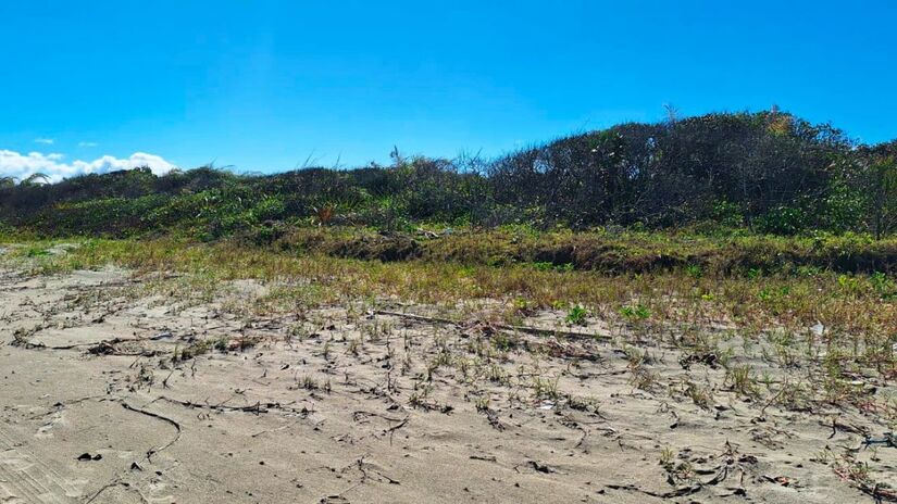 A região não sofreu tanto impacto com o avanço das maré devido a preservação do Jundu (Restingas), que faz essa parede de proteção e impede o mar de avançar/Nair Bueno/DL