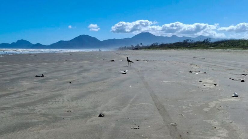 A região tem passagem de veículos restritas para a comunidade local por não ter outro acesso de circulação/Nair Bueno/DL