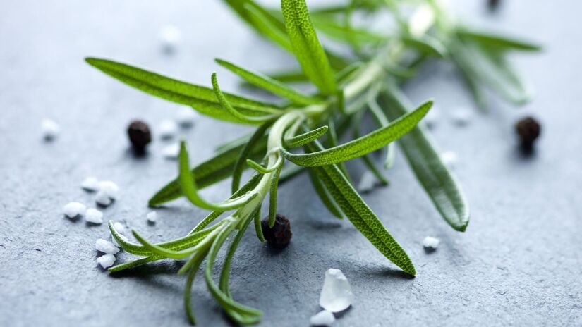 Use um frasco com sal grosso e alecrim para absorver a umidade e neutralizar odores, sendo ideal para banheiros e cozinhas/Freepik