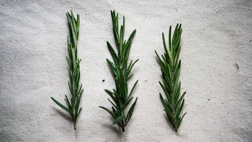 Para preparar, basta colocar sal grosso no fundo de um frasco de vidro limpo e adicionar ramos frescos de alecrim. Fácil e sem materiais sofisticados/Freepik