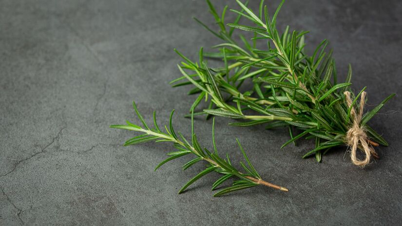 Para garantir a eficácia máxima, substitua o conteúdo do frasco a cada 30 a 45 dias. Se o sal estiver úmido ou o aroma sumir, é hora de renovar/Freepik