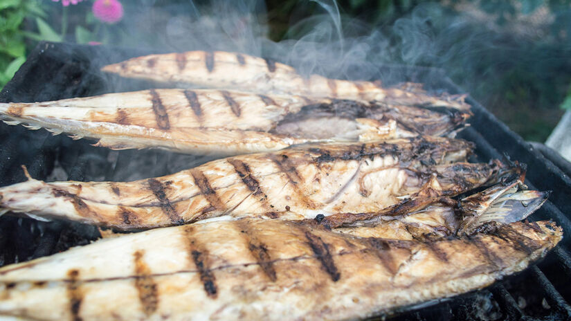 Unsplash/Anton Nikolov 