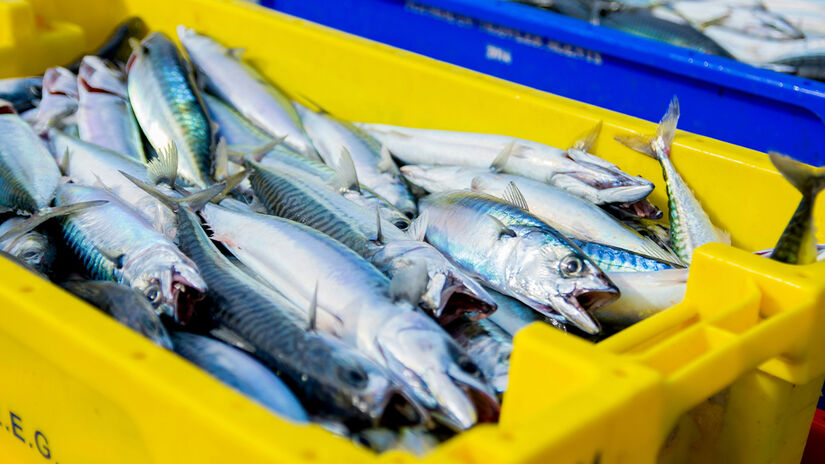 Unsplash/Richard Bell 