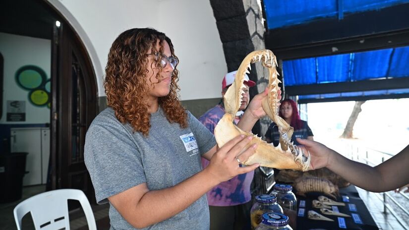 Atividade é gratuita e é ótima opção de programação / Henrique Teixeira/PMS