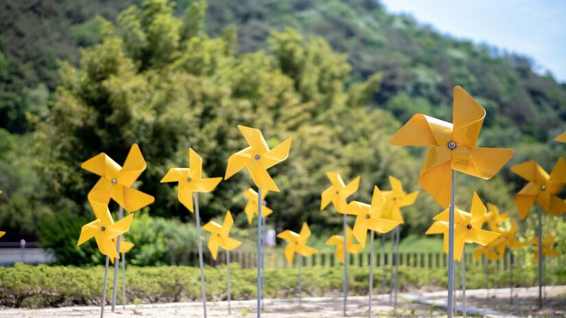 Ao afastar pombos, o acessório contribui para a prevenção de doenças transmitidas pelas aves e seus parasitas/Unsplash