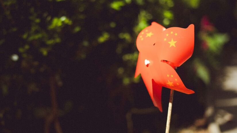 É uma solução de baixo custo e fácil aplicação para o controle de pragas no jardim ou na varanda/Unsplash