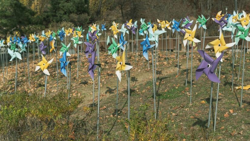 Na filosofia oriental, o cata-vento é um elemento que harmoniza o ambiente, ativando e filtrando energias estagnadas/Unsplash