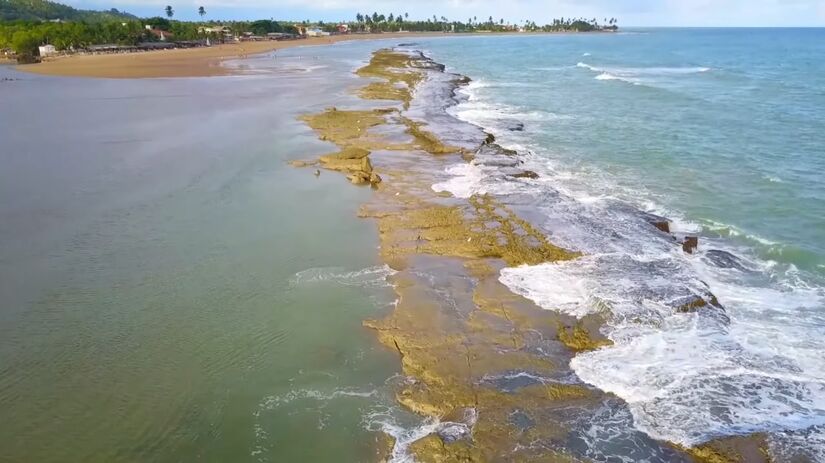 Reprodução/YouTube/PARTIUBR