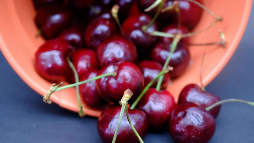 Esse organismo quarentenário é encontrado apenas no Chile e na Argentina. A destruição da carga é um protocolo de segurança para proteger a produção nacional/Pexels