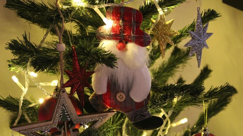 Mesmo que elas sejam instaladas, em grande maioria, nas salas, existe um espaço em específico em que as árvores devem ser colocadas (Merve Sayın/Pexels)