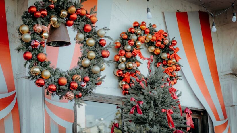 Segundo a filosofia, a árvore deve ser instalada em um ambiente que contribua com a energia vital do espaço (Nguyễn Tiến Thịnh /Pexels)