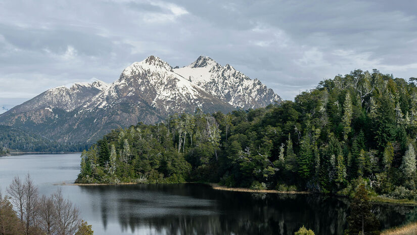 Pexels/Marcelo Gonzalez