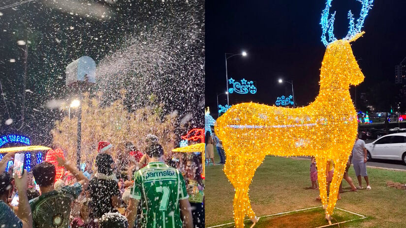 Créditos/Diário do Litoral