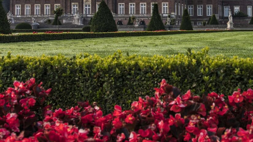 Cultivo de espécies invasoras requer atenção redobrada para evitar impactos locais / Pixabay