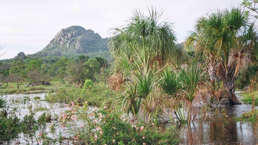 A paisagem natural do local faz qualquer viajante respirar fundo e agradecer / Reprodução/minasgerais.com.br