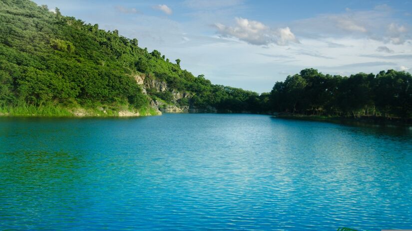 Projetos de reflorestamento e saneamento próximo aos rios ajudam a manter a qualidade da água e prevenir desastres ambientais / Pixabay