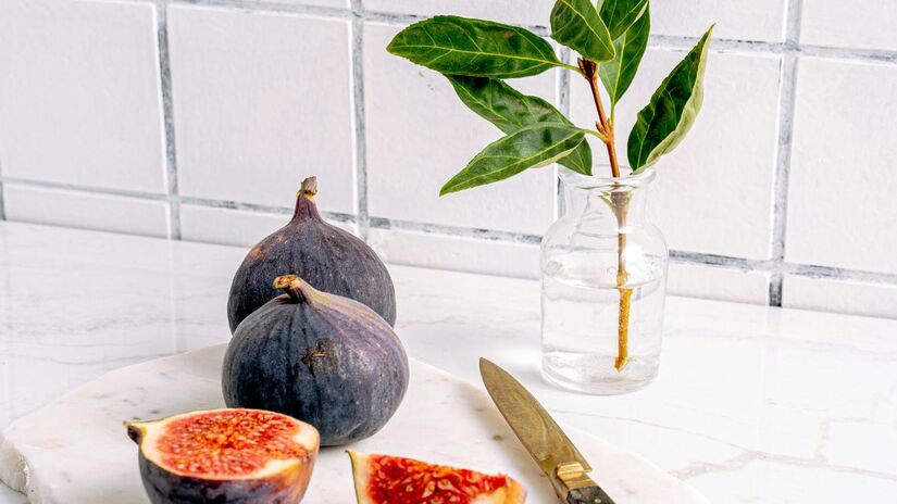 Basta posicionar algumas folhas de louro atrás de portas e janelas que dão para o exterior da casa/Pexels