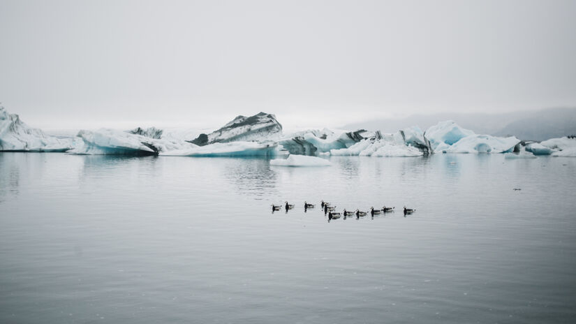 Estudos climáticos indicam que o derretimento do gelo da Antártida é uma questão de tempo / Freepik/bublikhaus